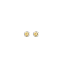 Yellow & White Diamond Halo Stud Earrings