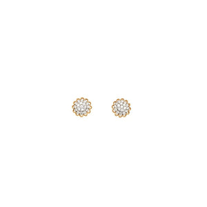 Diamond Cluster Stud Earrings in Gold