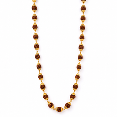 Divine Rudraksha Gold Mala