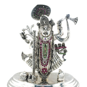 Shreenath Ji in Divine Silver Brilliance